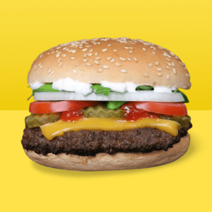 burger-image